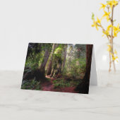 森林 |レッドウッド・フォレスト・カリフォルニア カード (黄色い花)