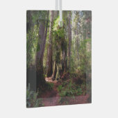 森林 |レッドウッド・フォレスト・カリフォルニア ガラスオーナメント (正面右)