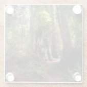 森林 |レッドウッド・フォレスト・カリフォルニア ガラスコースター (裏面)