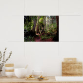 森林 |レッドウッド・フォレスト・カリフォルニア ポスター (キッチン)