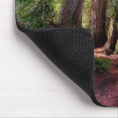 森林 |レッドウッド・フォレスト・カリフォルニア マウスパッド (コーナー)