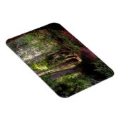 森林 |レッドウッド・フォレスト・カリフォルニア マグネット (右側)