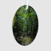 森林 |入表石垣国立公園 オーナメント (正面)