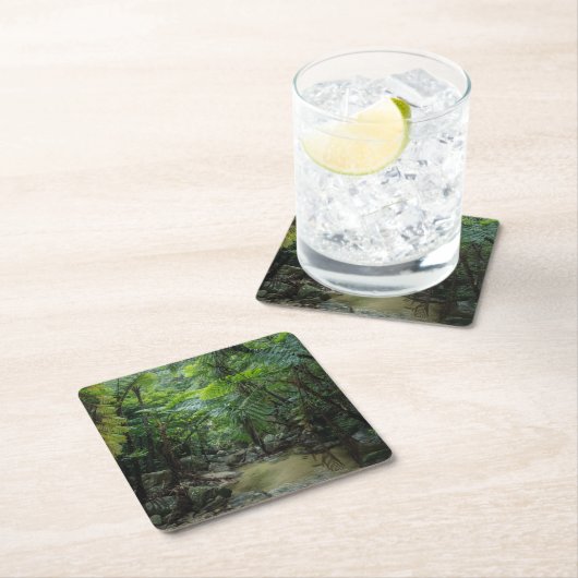森林 |入表石垣国立公園 スクエアペーパーコースター (インサイチュ)