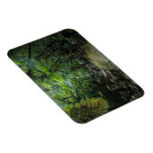 森林 |入表石垣国立公園 マグネット (右側)