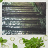 森林 |和歌山の山 キッチンタオル (折り畳み)