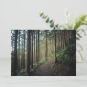 森林 |和歌山の山 サンキューカード (スタンド正面)