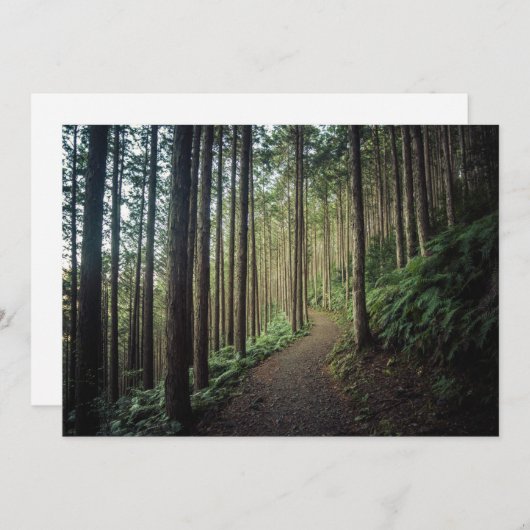 森林 |和歌山の山 サンキューカード (正面/裏面)