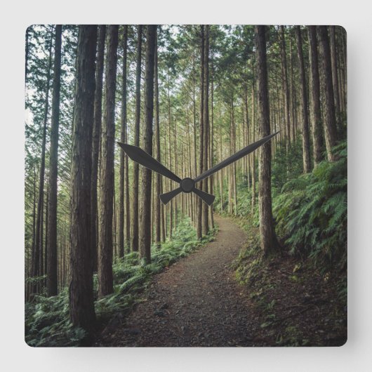 森林 |和歌山の山 スクエア壁時計 (正面)
