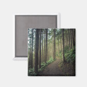 森林 |和歌山の山 マグネット (正面/裏面)