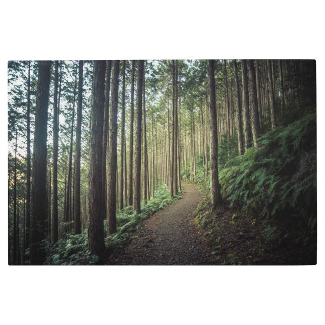 森林 |和歌山の山 メタルプリント (正面)