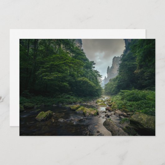 森林 張家界国立森林公園 サンキューカード (正面/裏面)