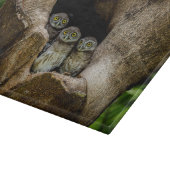 森林 |探している3つのフクロウ カッティングボード (角)