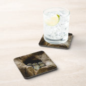 森林 |探している3つのフクロウ コースター (右側)