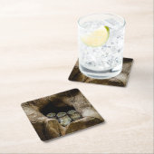 森林 |探している3つのフクロウ スクエアペーパーコースター (インサイチュ)