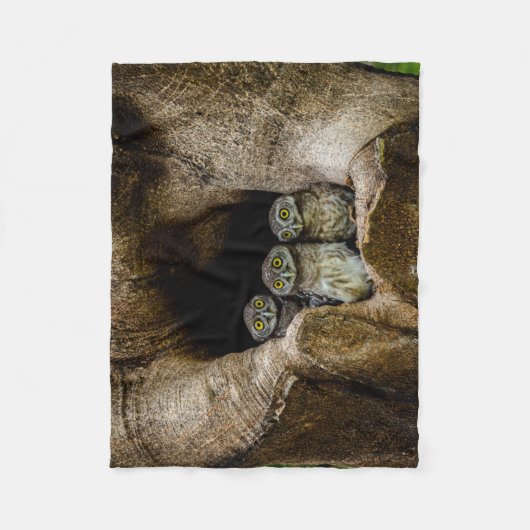 森林 |探している3つのフクロウ フリースブランケット (正面)