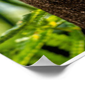 森林 |探している3つのフクロウ ポスター (角)