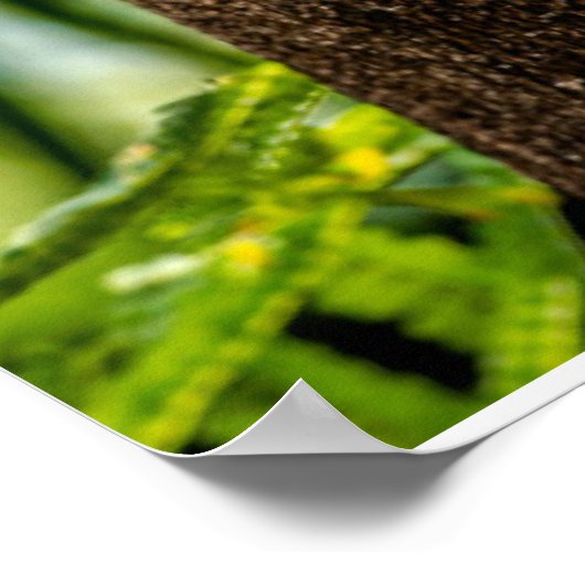 森林 |探している3つのフクロウ ポスター (角)