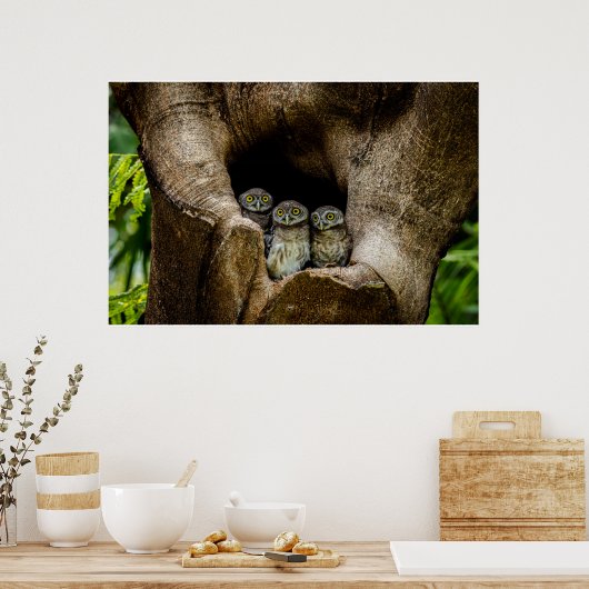 森林 |探している3つのフクロウ ポスター (キッチン)