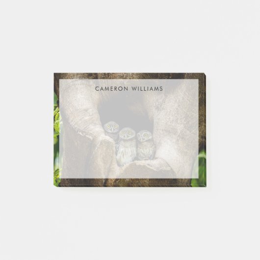 森林 |探している3つのフクロウ ポストイット (正面)