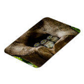 森林 |探している3つのフクロウ マグネット (左側)