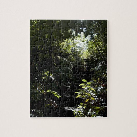 森林、日光の素朴な階段か歩道 ジグソーパズル (縦)