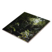 森林、日光の素朴な階段か歩道 タイル (側面)