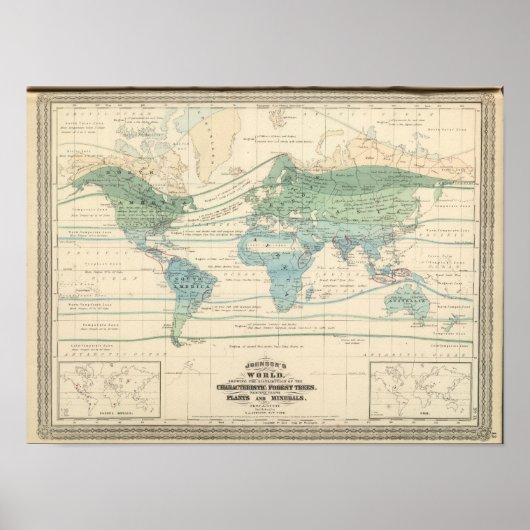 森林、有用植物及び鉱物 ポスター (正面)