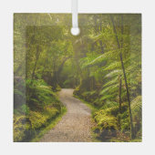 森林 |森林への歩道 ガラスオーナメント (正面)