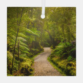 森林 |森林への歩道 ガラスオーナメント (裏面)