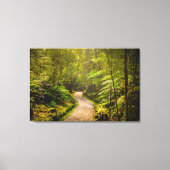 森林 |森林への歩道 キャンバスプリント (正面)