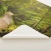 森林 |森林への歩道 シェルパブランケット (3/4)