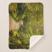 森林 |森林への歩道 シェルパブランケット (正面)