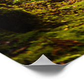 森林 |森林への歩道 ポスター (角)