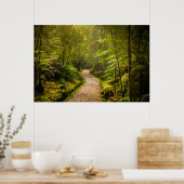 森林 |森林への歩道 ポスター (キッチン)