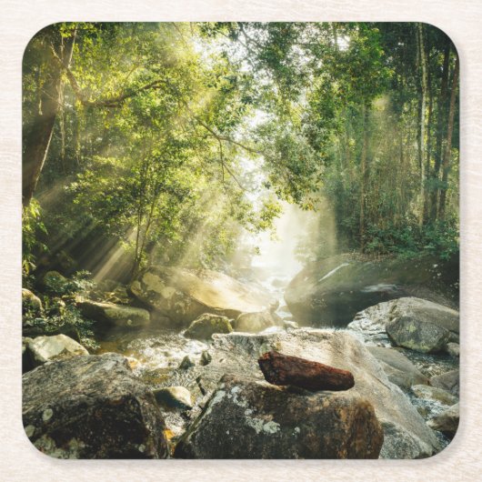 森林 |熱帯ジャングルフォレスト スクエアペーパーコースター (正面)