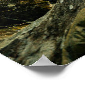 森林 |熱帯ジャングルフォレスト ポスター (角)