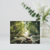 森林 |熱帯ジャングルフォレスト ポストカード (スタンド正面)