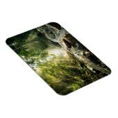 森林 |熱帯ジャングルフォレスト マグネット (右側)