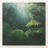 森林 |熱帯雨林シダ ガラスコースター (正面)