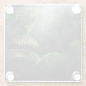 森林 |熱帯雨林シダ ガラスコースター (裏面)