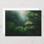 森林 |熱帯雨林シダ サンキューカード (正面/裏面)