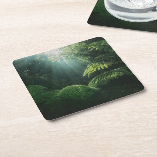 森林 |熱帯雨林シダ スクエアペーパーコースター (アングル)