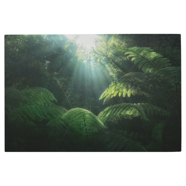 森林 |熱帯雨林シダ メタルプリント (正面)
