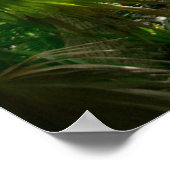 森林 |熱帯雨林トゥルムメキシコ ポスター (角)