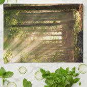 森林 |秋の森 キッチンタオル (折り畳み)