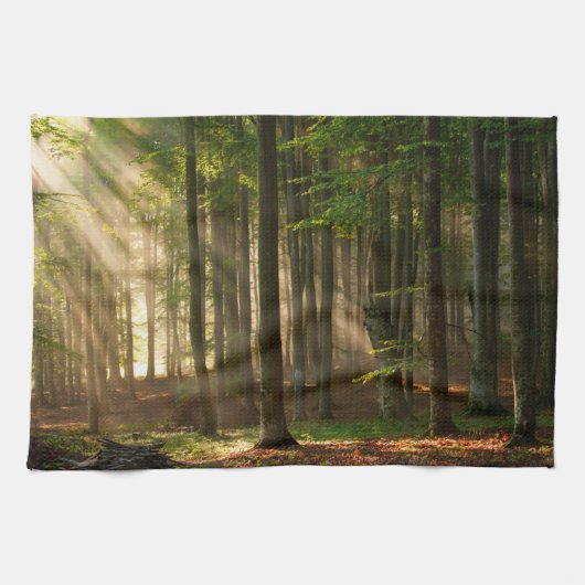 森林 |秋の森 キッチンタオル (横)