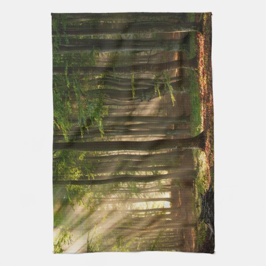 森林 |秋の森 キッチンタオル (縦)