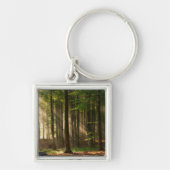 森林 |秋の森 キーホルダー (正面)