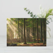 森林 |秋の森 サンキューカード (スタンド正面)